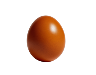  a brown egg on a white background, a realistic photo shoot, high resolution, taken 