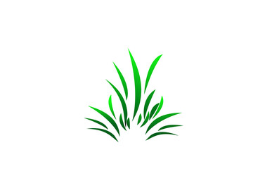 Fresh green leaf on transparent background png. Green nature eco friendly tropical forest. elements for poster, banner, wallpaper, card, backgrounds.