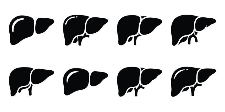 liver minimal silhouette vector icon set