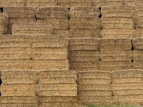 bales of hay