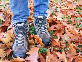 Walking among the autumn leaves. Close-up of hiking boots and brown oak leaves on the grass.