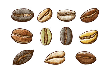 Collection of roasted and unroasted coffee beans showcasing diverse textures and colors against a dark backdrop isolated on transparent background