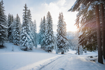 Obraz premium snow covered forest with warm light sunset, winter pine trees landscape in evening