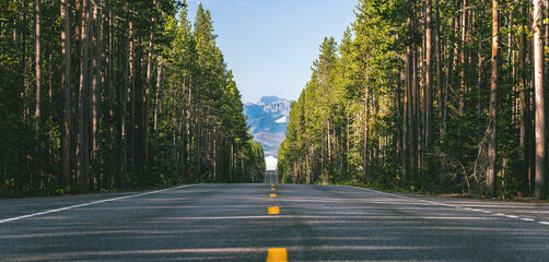 Tierra Photo Session 27 April, 2024