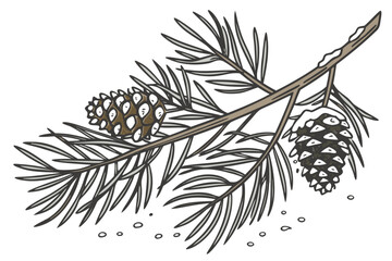 Evergreen pine branch vector with pinecones, snow and frost particle effects