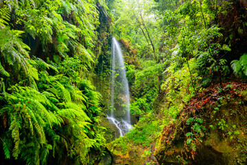 Cascada de los Tilos Waterfall, La Palma, Canary Islands