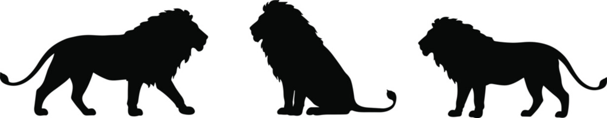 Lion silhouette set, wild animal poses, black vector illustration, majestic wildlife icon, cad drawing, flat vector illustration, safari symbol