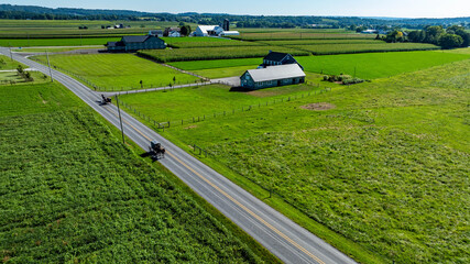 Two small vehicles travel along a peaceful country road surrounded by lush green fields and farmhouses. The scene captures rural life in a serene setting during daytime.