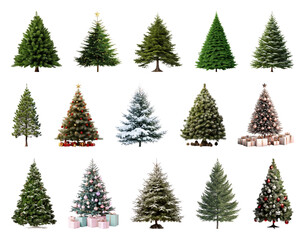 Obraz premium PNG Diverse festive Christmas trees collection, element set on transparent background