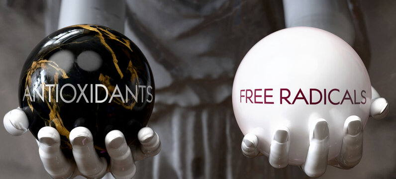 Antioxidants or Free Radicals - decide between two options. Greek statue presenting a choice: antioxidants or free radicals, weighing their values. Looking at pros and cons.  ,3d illustration