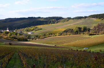 VILLAGE ET VIGNOBLE D'IRANCY EN AUTOMNE BOURGOGNE