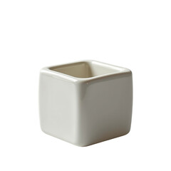 Minimalist White Square Ceramic Pot for Indoor Plant Display