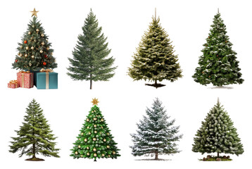 Obraz premium PNG Diverse festive Christmas trees collection, element set on transparent background