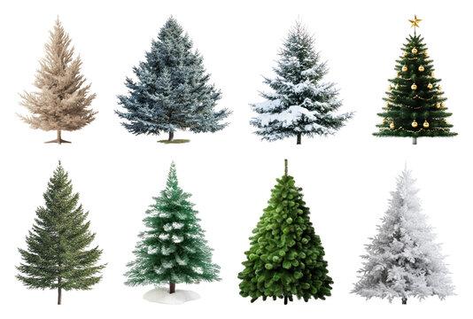 PNG Variety of festive Christmas trees, element set on transparent background