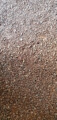 Detailed view of red gravelly ground. This natural, earthy texture is perfect as an abstract background.
