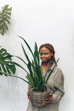 A woman holds a houseplant in a beautifully decorated modern setting
