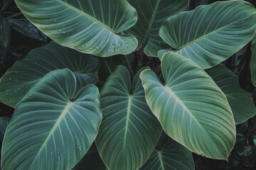 Lush green leaves glistening with water droplets in a vibrant jungle setting during daytime