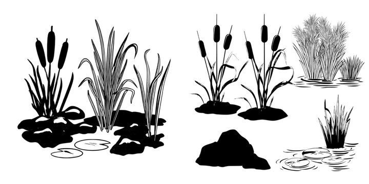 A collection of wetland nature elements features brown cattails, beige pampas grass, moss-covered rocks, green lily pads, and bright mushrooms on clay ground for designing environments