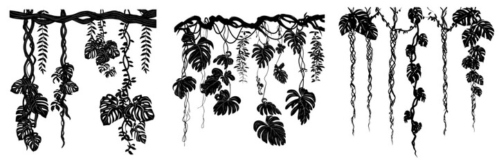 Exotic rainforest flora is represented by a jungle liana set with twisted vine stems, thick branches, and tropical monstera, complete with hanging green leaves of a climbing plant, ideal for natural