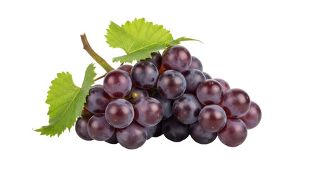 Obraz premium Close-up shot of a bunch of ripe, dark purple grapes with green leaves, isolated on white.