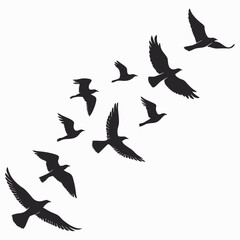 Silhouette of many birds flying in the sky