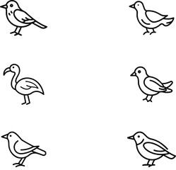 Six diverse bird sketches. Each bird has a unique pose, evoking an atmosphere of freedom