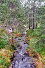 Sullestadelva Brook of the Sulustaddalen Valley, Toten, Norway, October 2025.