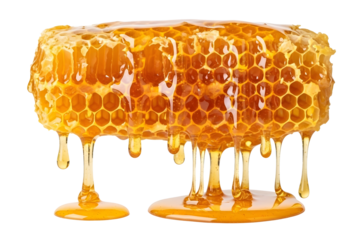 Honeycomb with dripping honey isolated on transparent background, sweet and tasty