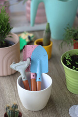 Houseplants, flower pots and mini gardening equipment. Urban gardening at home or on the balcony. Selective focus.