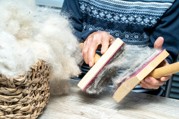 The skill of carding wool by hand, is crucial for producing quality yarn. © Тамара Андреева