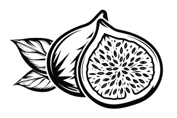 Sliced fig with leaf illustration showing edible ripe seeds inside black and white