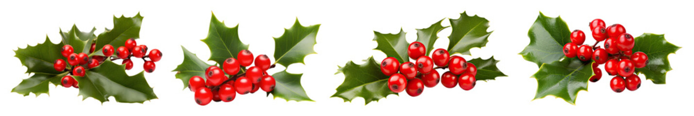 PNG Festive holly berry decoration, element set on transparent background