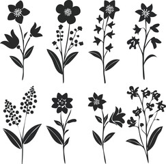 Collection of Eight Elegant Hand Drawn Floral Silhouettes Botanical Illustrations for Design Projects