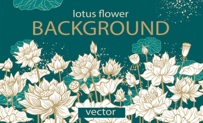 Lotus Flower Template Background, Elegant Vector Design