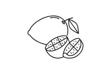 Stylized lemon illustration showcases one whole fruit with leaf and two cut segments