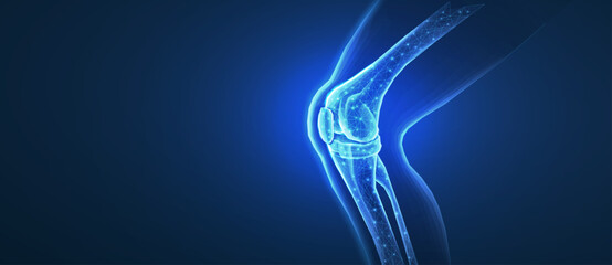 Knee joint isolated on blue. Bone health, physiotherapy care, joint disorder, glucosamine repair, orthopedic surgery, physical therapy, magnesium supplement, osteoarthritis treatment concept

