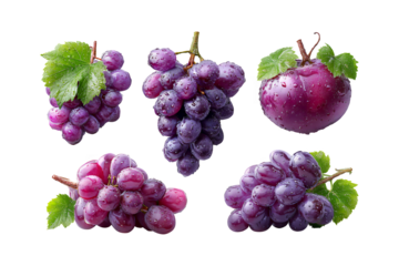 Five bunches of ripe purple grapes with green leaves isolated on a black background isolated on transparent background