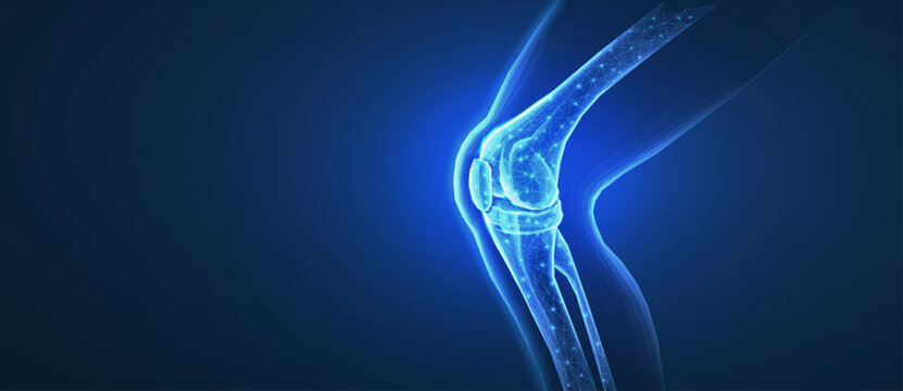 Knee joint isolated on blue. Bone health, physiotherapy care, joint disorder, glucosamine repair, orthopedic surgery, physical therapy, magnesium supplement, osteoarthritis treatment concept

