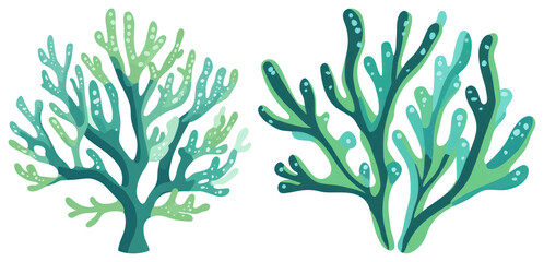PNG Vibrant underwater seaweed illustration, element set on transparent background