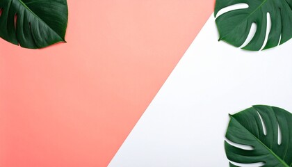 A minimalist botanical composition features large green monstera leaves arranged on a vertically split background