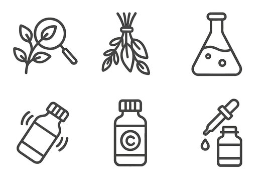 Remedy Preparation Icons. Line style icons of remedy preparation steps: ingredient selection, drying herbs, dilution flask,