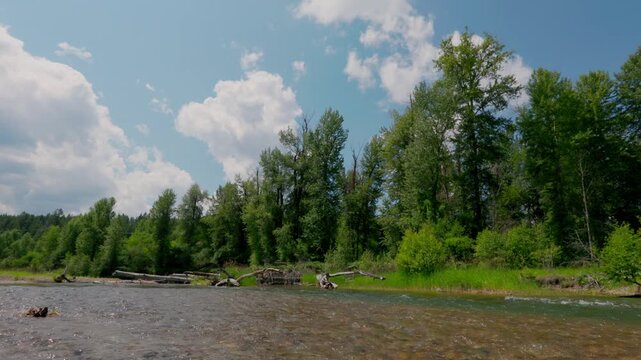 Pretty creek flowing in Eureka Montana in summer 