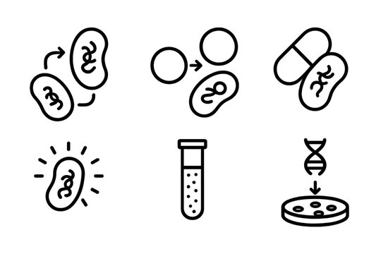 Genetic Engineering Icons. Line style icons of genetic engineering: bacterial transformation, gene plasmid uptake, antibiotic