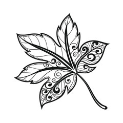 Detailed outline of a chestnut leaf with delicate veins and texture isolated on transparent background