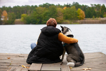 Siberian Husky outdoors, autumn