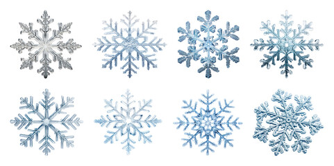 Fototapeta premium PNG Intricate snowflake designs collection, element set on transparent background