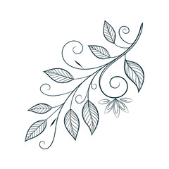Artistic stylized botanical outline of cherries and leaves for elegant designs isolated on transparent background