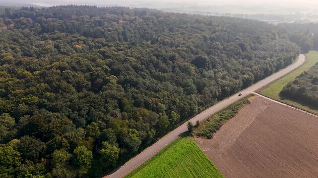 Aerial view of a road separating a dense forest from agricultural fields