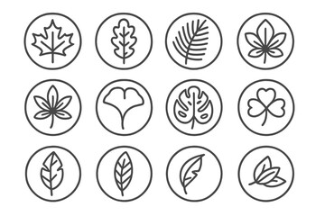 Line Style Leaf Icons. Line style icons of leaves in round shape: maple leaf, oak leaf, palm leaf, birch leaf; chestnut leaf,