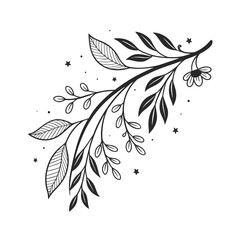 Elegant dark botanical branch silhouette with delicate leaves and berries isolated on transparent background